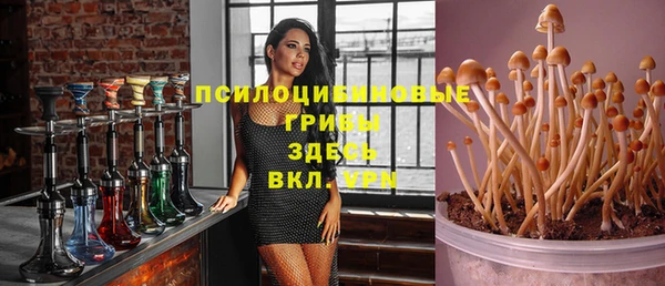 спайс Богородицк