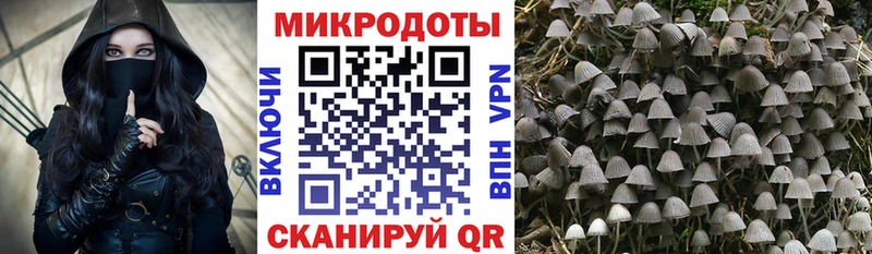 Галлюциногенные грибы мухоморы  закладка  Ворсма 