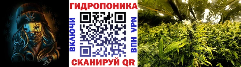 даркнет сайт  Ворсма  Конопля семена 